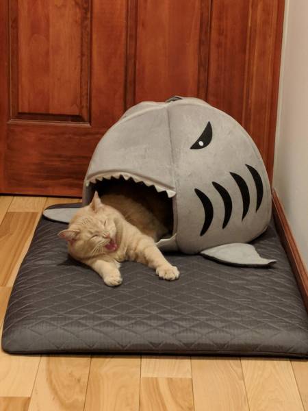 morning picdump 54 pics 1.html - 54 HD Photos | Premium Gallery 2018