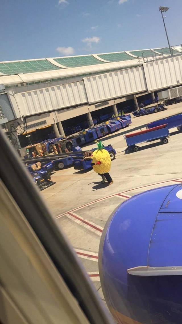 morning picdump 54 pics 1.html - 54 HD Photos | Premium Gallery 2018