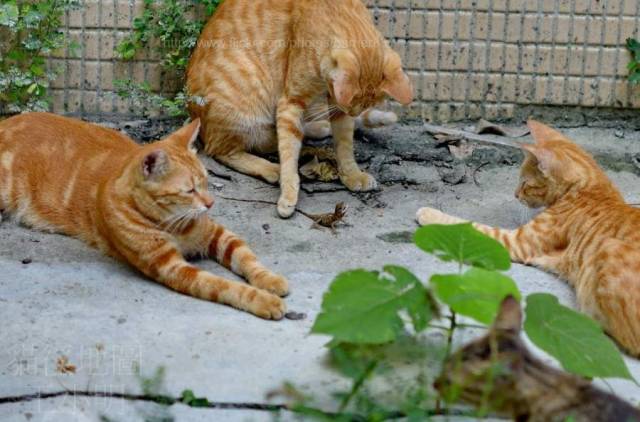 daily picdump 108 pics 51.html - 108 HD Photos | Premium Gallery 2018