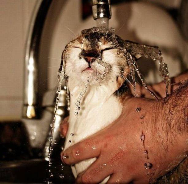 daily picdump 108 pics 51.html - 108 HD Photos | Premium Gallery 2018