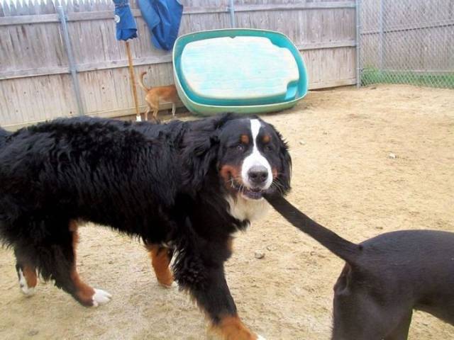 daily picdump 108 pics 51.html - 108 HD Photos | Premium Gallery 2018