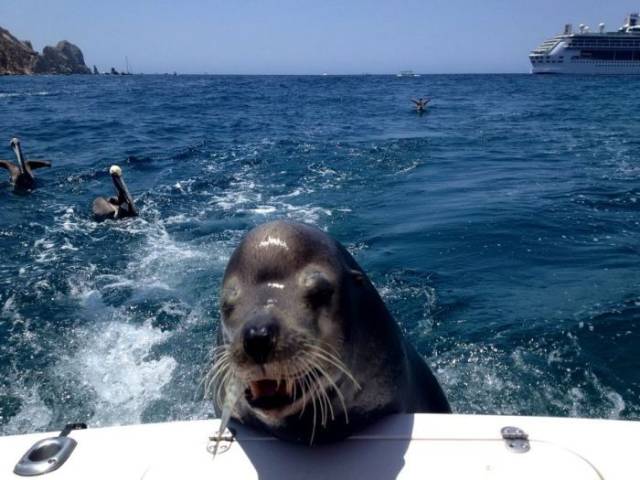 daily picdump 108 pics 51.html - 108 HD Photos | Premium Gallery 2018