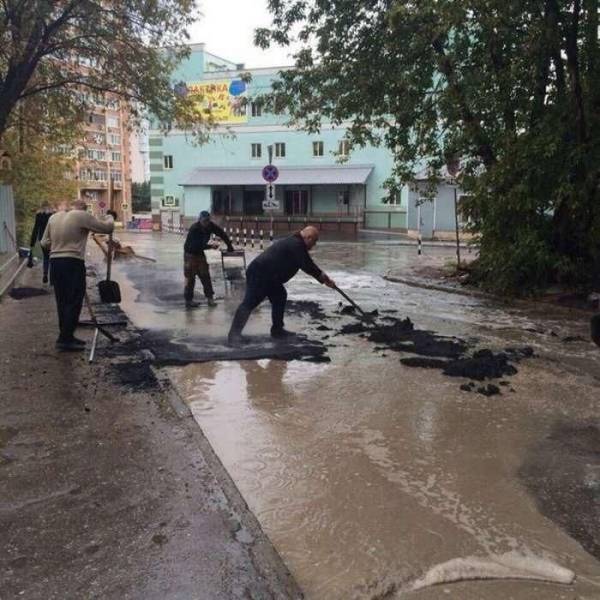 daily picdump 108 pics 51.html - 108 HD Photos | Premium Gallery 2018