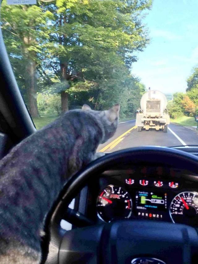 daily picdump 108 pics 51.html - 108 HD Photos | Premium Gallery 2018