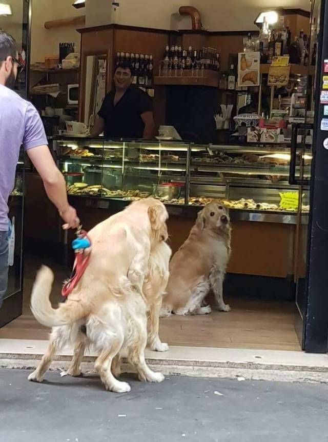 daily picdump 108 pics 51.html - 108 HD Photos | Premium Gallery 2018