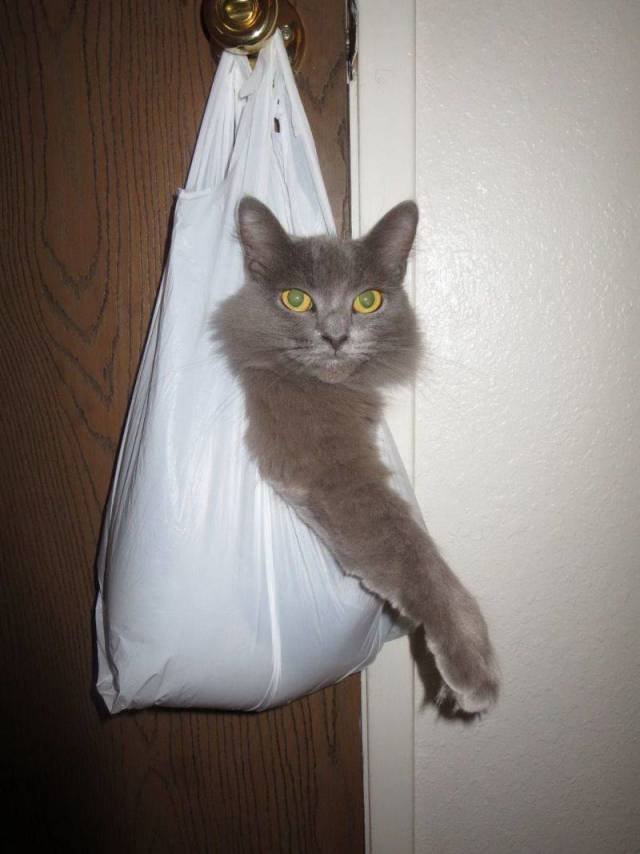 daily picdump 108 pics 51.html - 108 HD Photos | Premium Gallery 2018