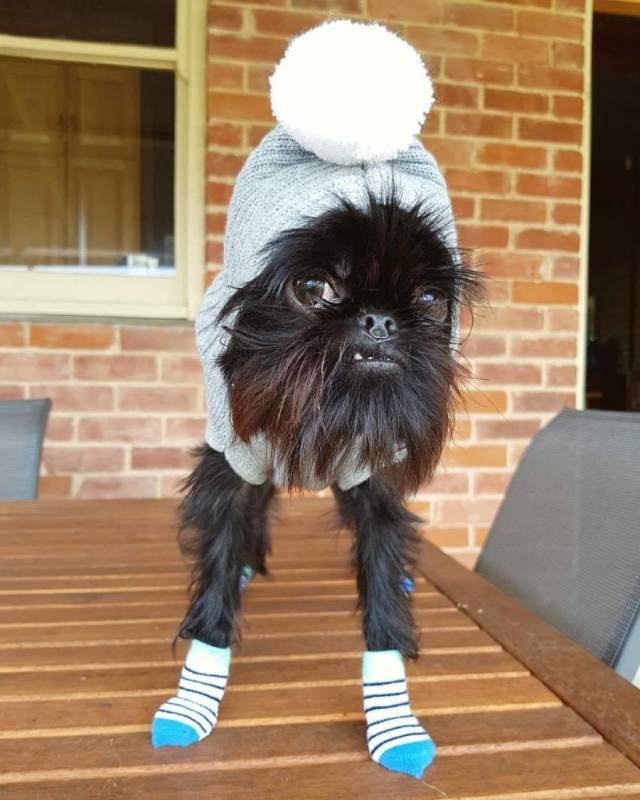 daily picdump 108 pics 51.html - 108 HD Photos | Premium Gallery 2018