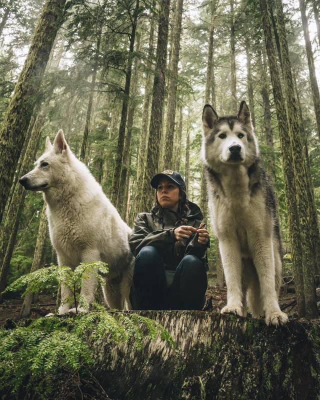 daily picdump 108 pics 51.html - 108 HD Photos | Premium Gallery 2018