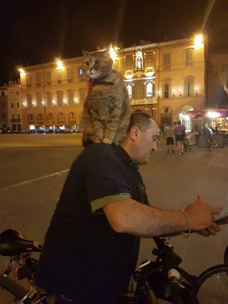 morning picdump 49 pics 30.html - 49 HD Photos | Premium Gallery 2018