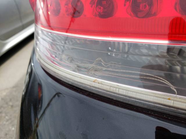 morning picdump 49 pics 30.html - 49 HD Photos | Premium Gallery 2018