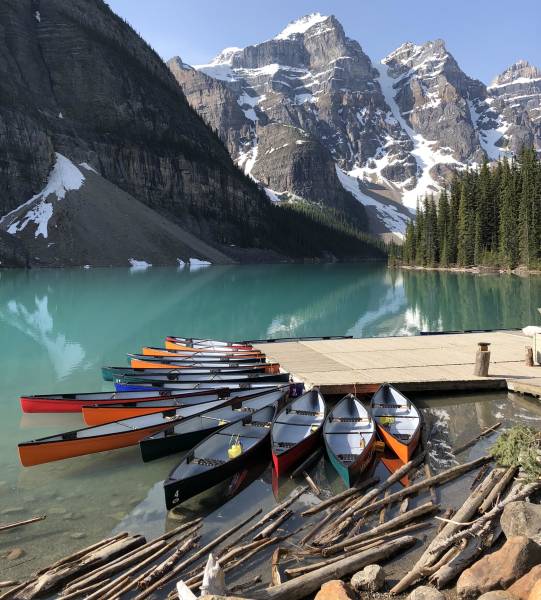 morning picdump 49 pics 30.html - 49 HD Photos | Premium Gallery 2018