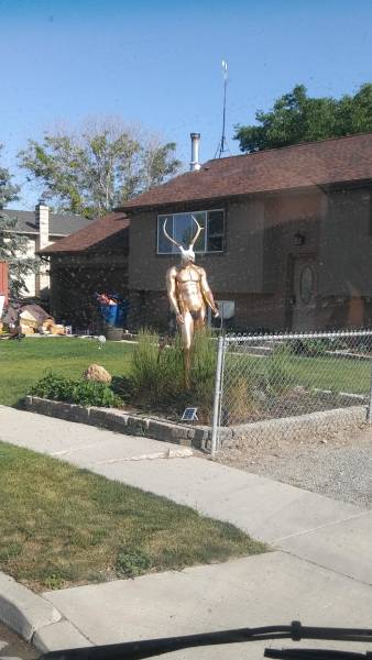 Daily Picdump [WEEKEND EDITION]