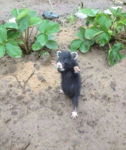 Daily Picdump [WEEKEND EDITION]