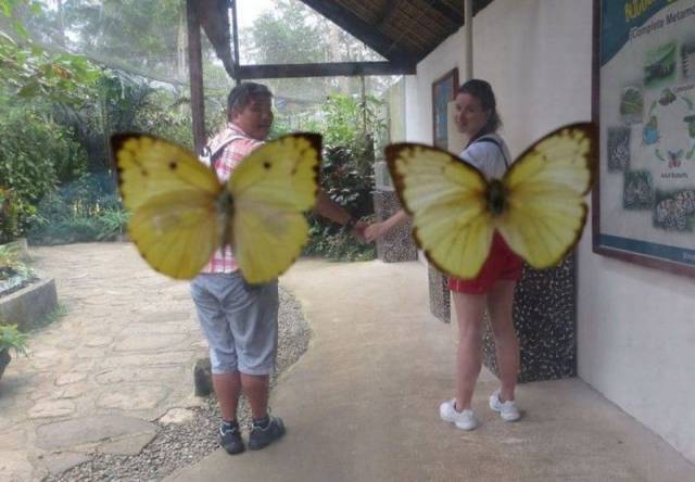 Daily Picdump [WEEKEND EDITION]