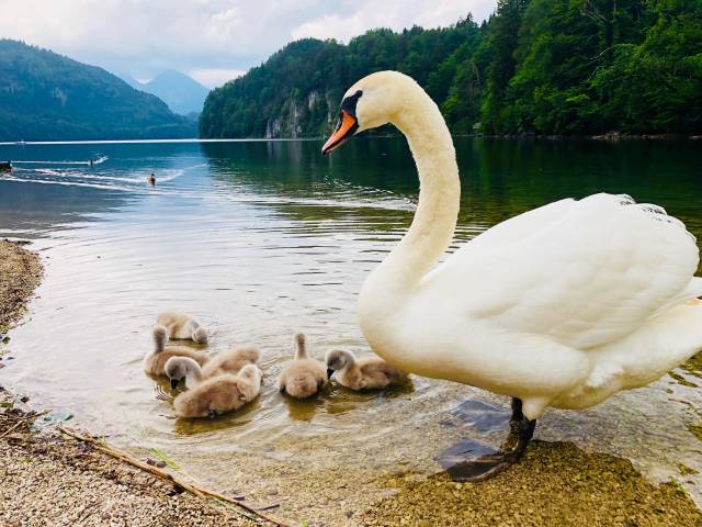 daily picdump weekend edition 50 pics 15.html - 50 HD Photos | Premium Gallery 2018