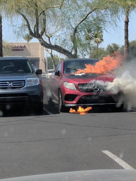 daily picdump weekend edition 50 pics 15.html - 50 HD Photos | Premium Gallery 2018