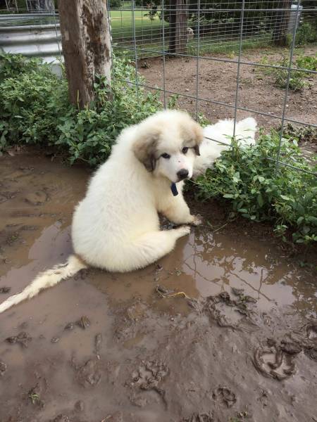 daily picdump weekend edition 50 pics 15.html - 50 HD Photos | Premium Gallery 2018