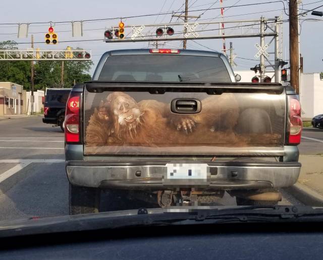 daily picdump weekend edition 50 pics 15.html - 50 HD Photos | Premium Gallery 2018