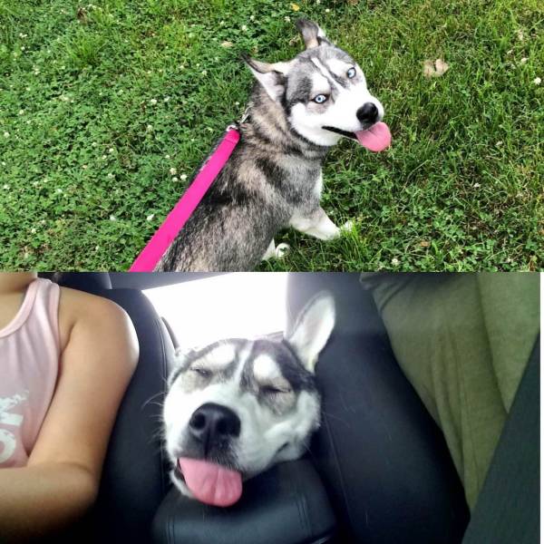 daily picdump 106 pics 2.html - 106 HD Photos | Premium Gallery 2018