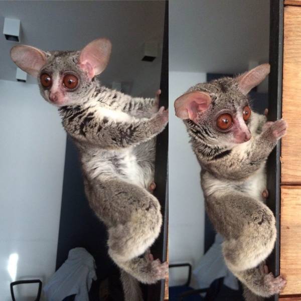 daily picdump 106 pics 2.html - 106 HD Photos | Premium Gallery 2018