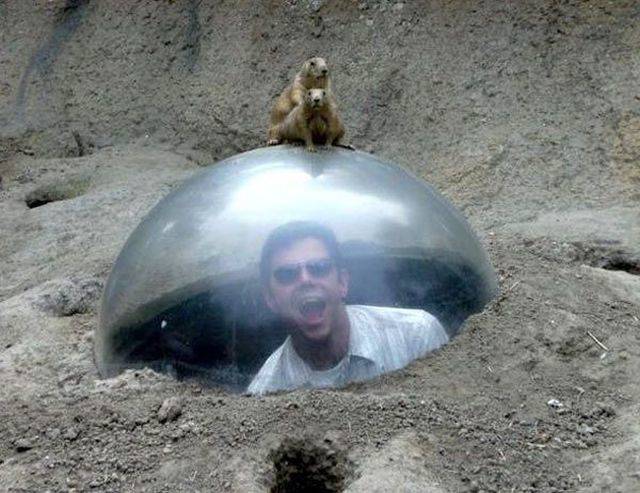 daily picdump 106 pics 2.html - 106 HD Photos | Premium Gallery 2018