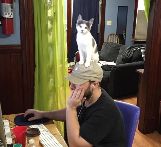 daily picdump 106 pics 2.html - 106 HD Photos | Premium Gallery 2018