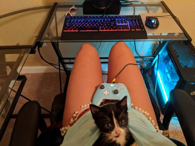 daily picdump 106 pics 2.html - 106 HD Photos | Premium Gallery 2018