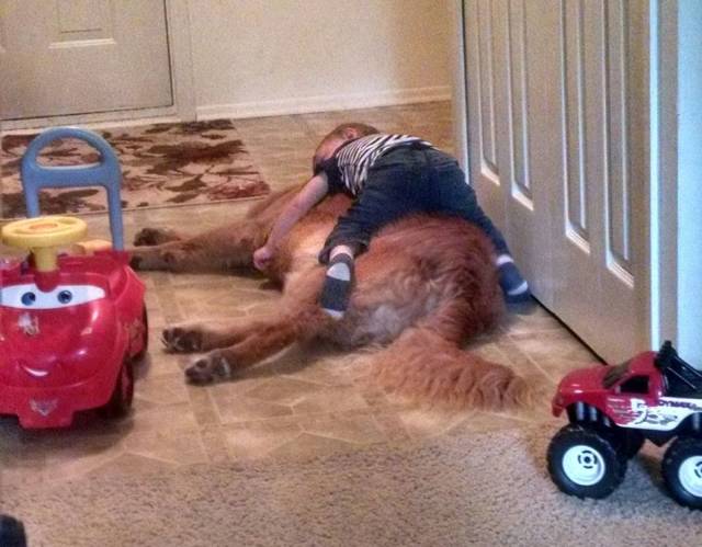 daily picdump 106 pics 2.html - 106 HD Photos | Premium Gallery 2018