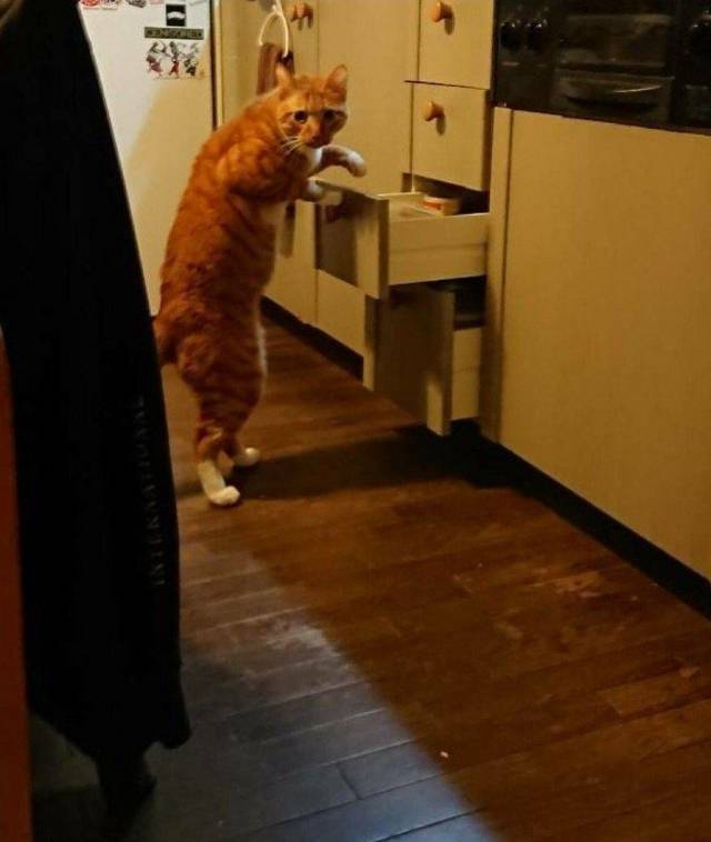 daily picdump 106 pics 2.html - 106 HD Photos | Premium Gallery 2018