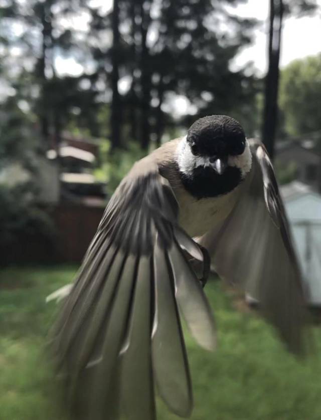 daily picdump 106 pics 2.html - 106 HD Photos | Premium Gallery 2018