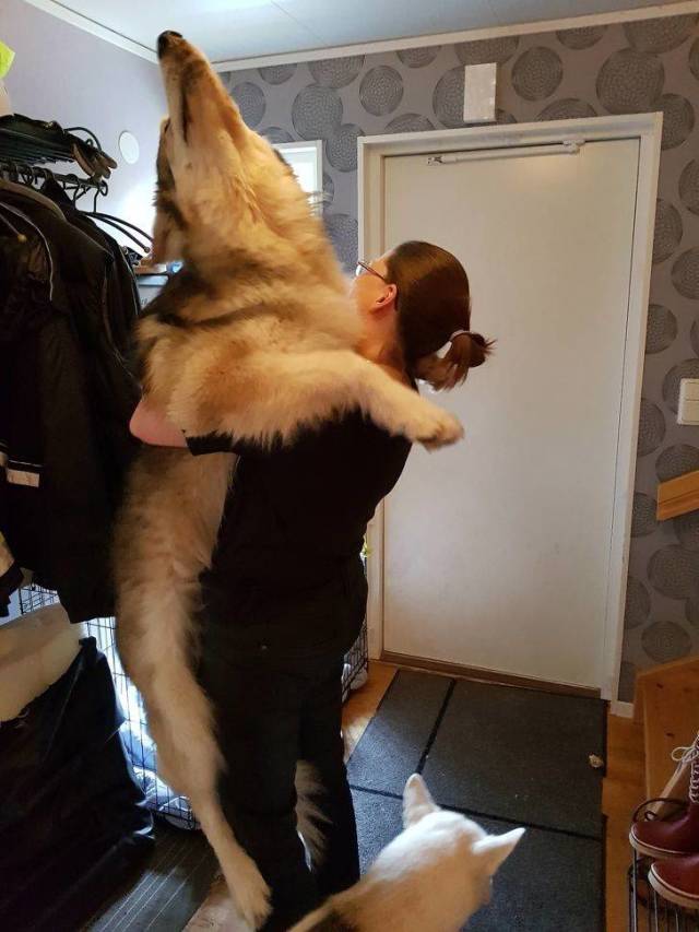 daily picdump 106 pics 2.html - 106 HD Photos | Premium Gallery 2018