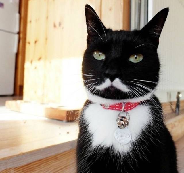 daily picdump 92 pics 42.html - 92 HD Photos | Premium Gallery 2018