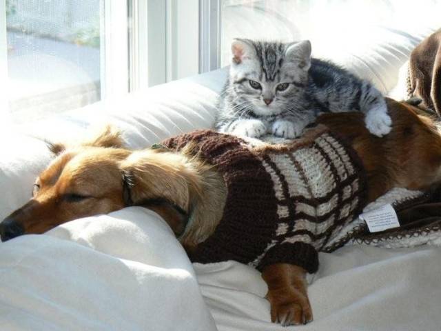 daily picdump 92 pics 42.html - 92 HD Photos | Premium Gallery 2018