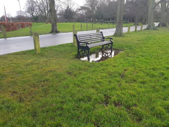 daily picdump 92 pics 42.html - 92 HD Photos | Premium Gallery 2018