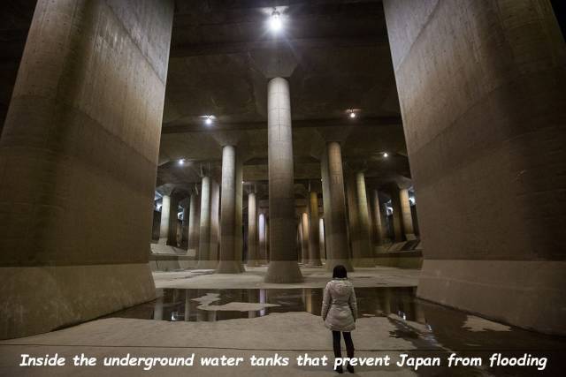 daily picdump 92 pics 42.html - 92 HD Photos | Premium Gallery 2018