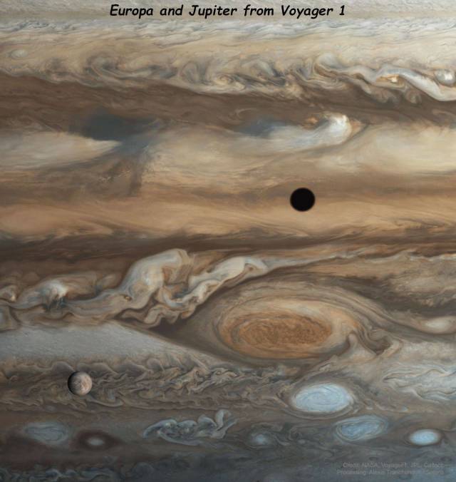 daily picdump 92 pics 42.html - 92 HD Photos | Premium Gallery 2018