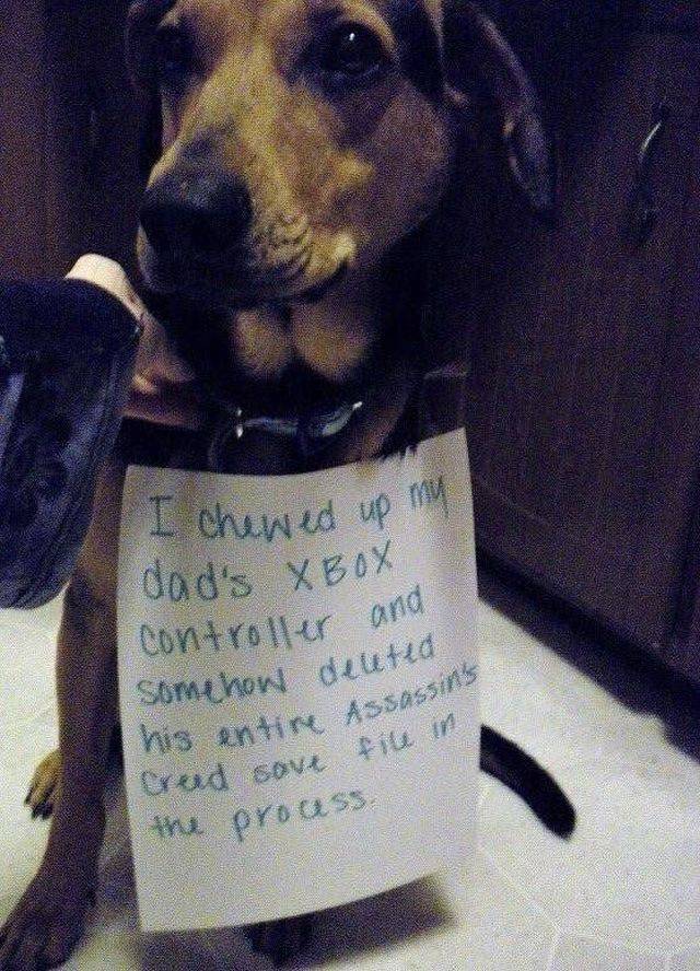 daily picdump 92 pics 42.html - 92 HD Photos | Premium Gallery 2018