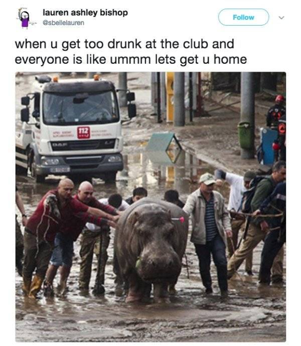 Drunk People Do So Many Stupid Things