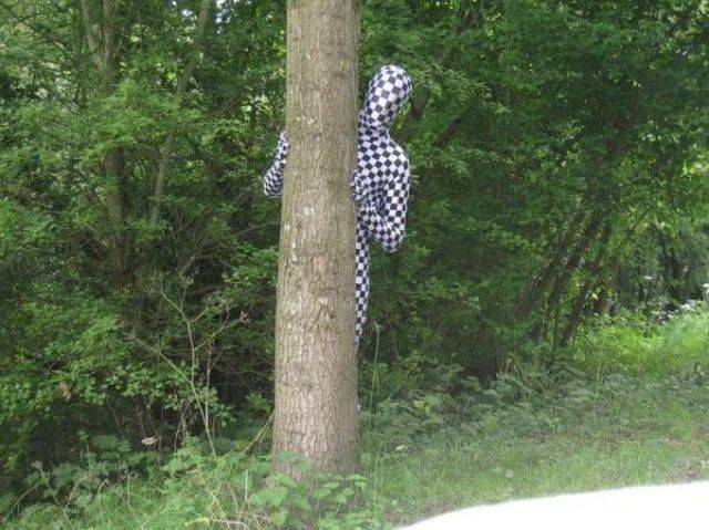 Hard-to-explain WTF Photos