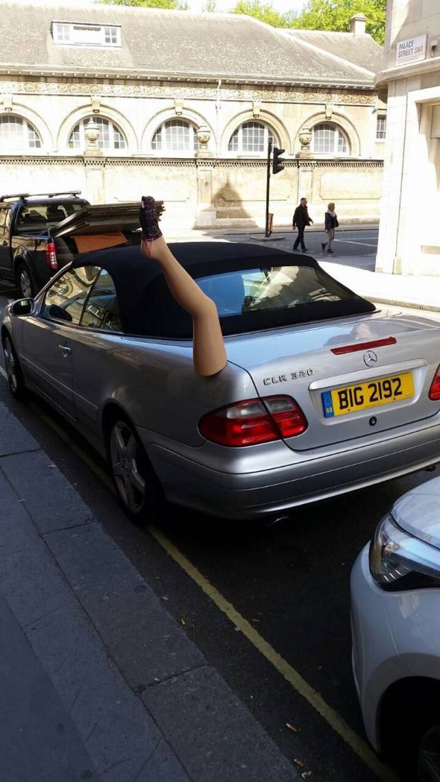 Hard-to-explain WTF Photos