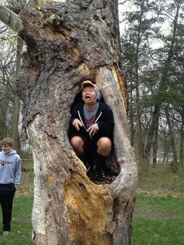 Hard-to-explain WTF Photos