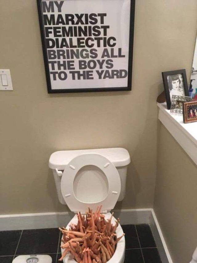 Hard-to-explain WTF Photos