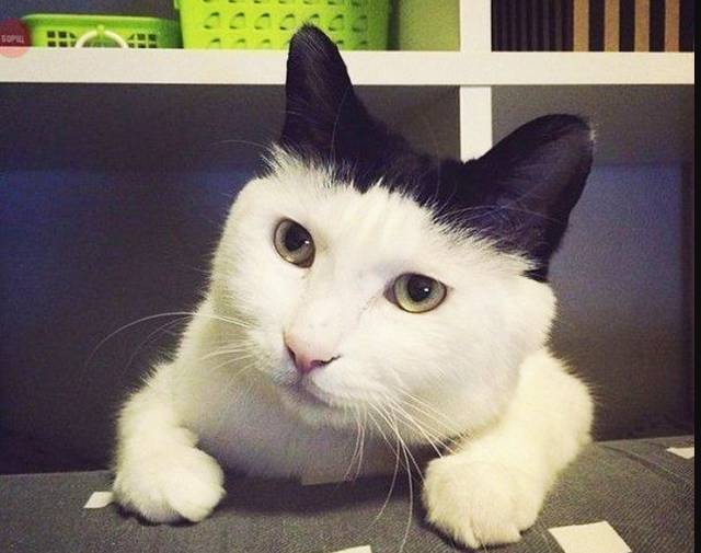 morning picdump 52 pics 21.html - 52 HD Photos | Premium Gallery 2018