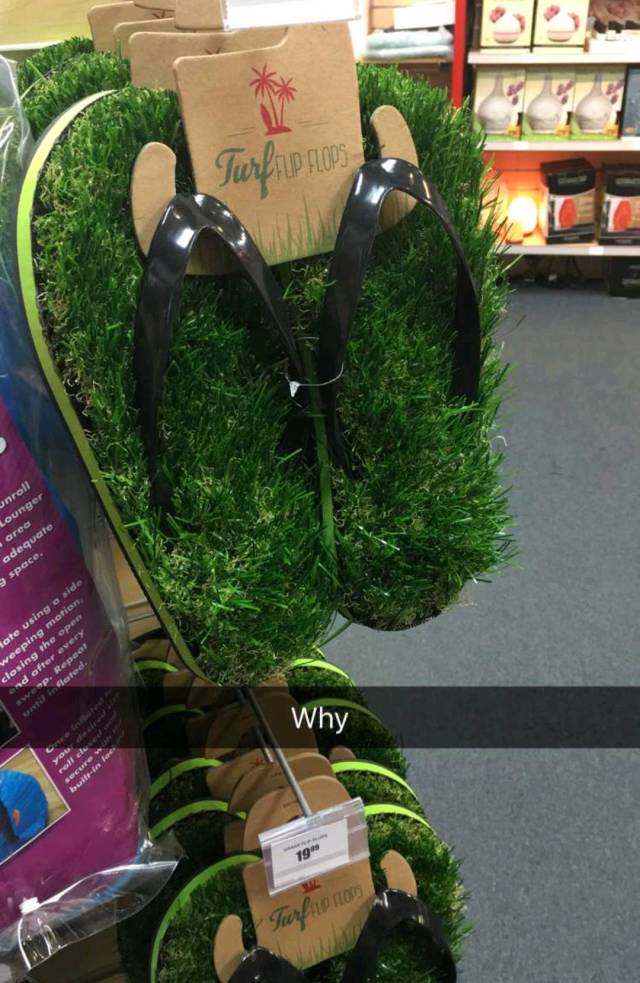 morning picdump 52 pics 21.html - 52 HD Photos | Premium Gallery 2018