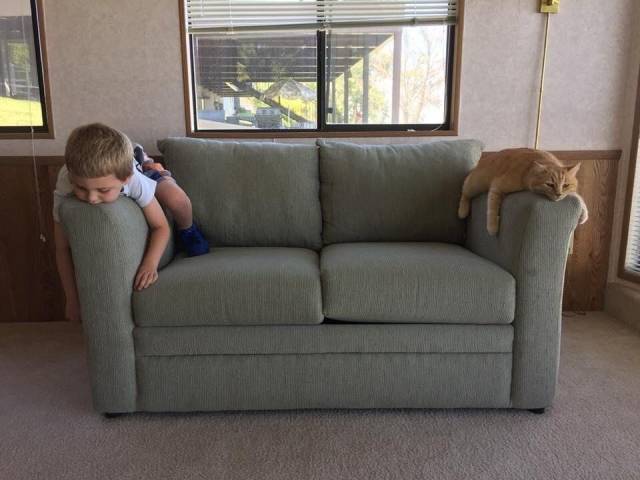 daily picdump 102 pics 39.html - 102 HD Photos | Premium Gallery 2018