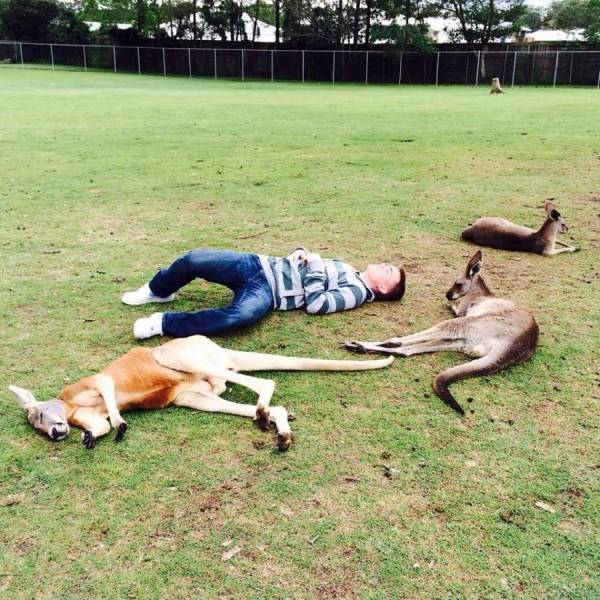 daily picdump 102 pics 39.html - 102 HD Photos | Premium Gallery 2018