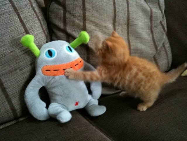 daily picdump 102 pics 39.html - 102 HD Photos | Premium Gallery 2018