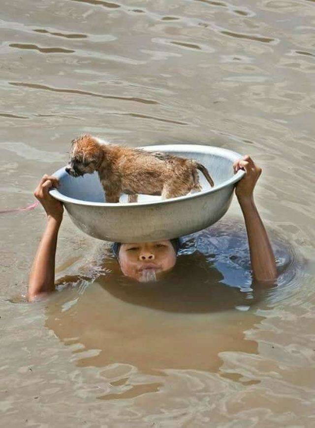 daily picdump 102 pics 39.html - 102 HD Photos | Premium Gallery 2018