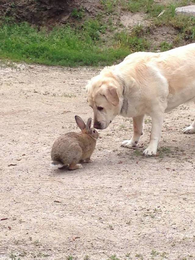 daily picdump 102 pics 39.html - 102 HD Photos | Premium Gallery 2018