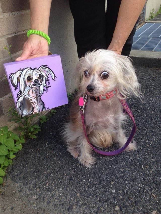 daily picdump 102 pics 39.html - 102 HD Photos | Premium Gallery 2018